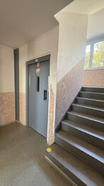 Pronájem bytu 2+1 v družstevním vlastnictví 43 m², Břeclav