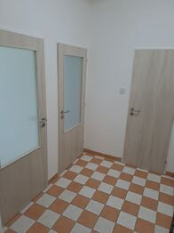 Pronájem bytu 1+1 v osobním vlastnictví 40 m², Praha 6 - Břevnov