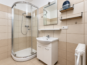 Pronájem bytu 2+1 v osobním vlastnictví 56 m², Plzeň