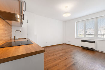 Obývací pokoj - Pronájem bytu 2+kk v osobním vlastnictví 45 m², Praha 3 - Žižkov