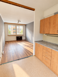 Prodej bytu 2+1 v osobním vlastnictví 51 m², Bílina