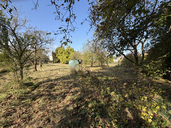 Prodej pozemku 2026 m², Rychvald