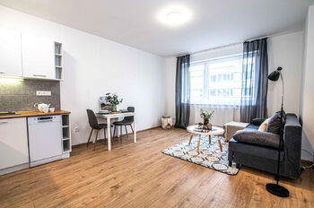 nábytek není součástí  - Pronájem bytu 1+kk v osobním vlastnictví 29 m², Rakovník