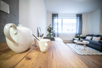 nábytek není součástí - Pronájem bytu 1+kk v osobním vlastnictví 29 m², Rakovník
