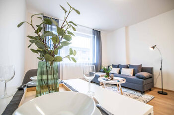 nábytek není součástí - Pronájem bytu 1+kk v osobním vlastnictví 29 m², Rakovník