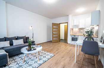 Pronájem bytu 1+kk v osobním vlastnictví 29 m², Rakovník