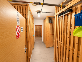 Pronájem bytu 3+1 v osobním vlastnictví 50 m², Planá