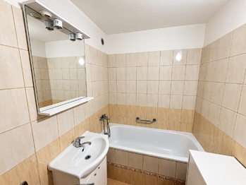 Pronájem bytu 3+1 v osobním vlastnictví 50 m², Planá