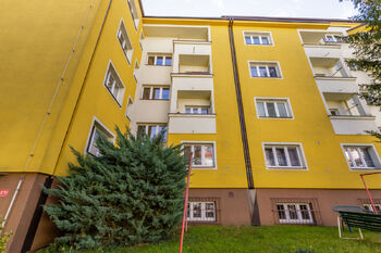 Pohled na dům ze dvora - Prodej bytu 3+1 v osobním vlastnictví 87 m², Praha 3 - Žižkov