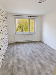 Prodej bytu 3+kk v družstevním vlastnictví 59 m², Jirkov