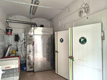 Prodej domu 289 m², Žatec