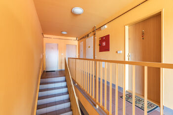 Pronájem bytu 2+kk v osobním vlastnictví 55 m², Šestajovice