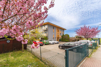 Pronájem bytu 2+kk v osobním vlastnictví 55 m², Šestajovice