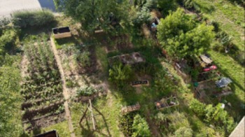 zahrádky okolo domu - Pronájem bytu 2+kk v osobním vlastnictví 62 m², Měšice