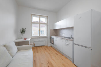 Prodej bytu 1+kk v družstevním vlastnictví 20 m², Praha 3 - Žižkov