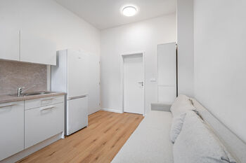 Prodej bytu 1+kk v družstevním vlastnictví 20 m², Praha 3 - Žižkov