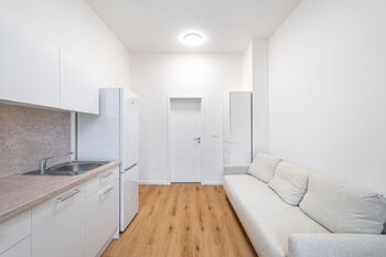 Prodej bytu 1+kk v družstevním vlastnictví 20 m², Praha 3 - Žižkov