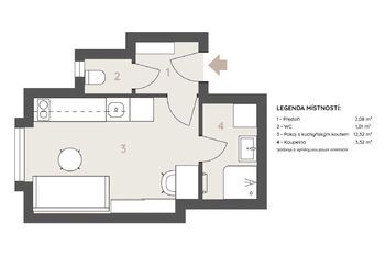 Prodej bytu 1+kk v družstevním vlastnictví 20 m², Praha 3 - Žižkov