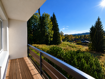 Prodej bytu 1+kk v družstevním vlastnictví 36 m², Železná Ruda