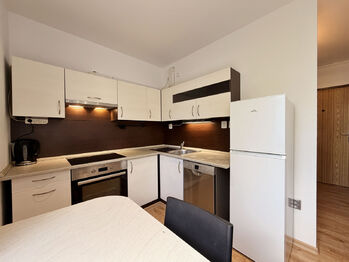 Pronájem bytu 1+1 v osobním vlastnictví 32 m², České Budějovice