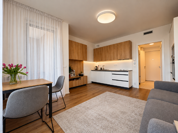 Pronájem bytu 1+kk v osobním vlastnictví 35 m², Praha 10 - Strašnice