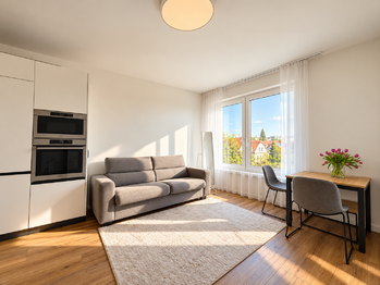 Pronájem bytu 1+kk v osobním vlastnictví 35 m², Praha 10 - Strašnice