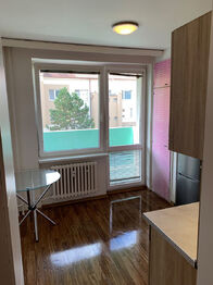 Pronájem bytu 2+kk v osobním vlastnictví 33 m², Mikulov