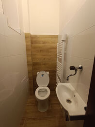 Pronájem bytu 3+1 v osobním vlastnictví 114 m², Litoměřice