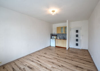 Pronájem bytu 1+kk v družstevním vlastnictví 27 m², Orlová