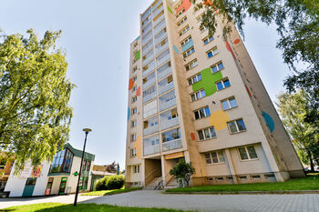 Pronájem bytu 1+kk v družstevním vlastnictví 27 m², Orlová