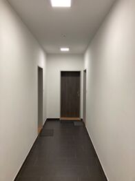 Pronájem bytu 1+kk v osobním vlastnictví 42 m², České Budějovice
