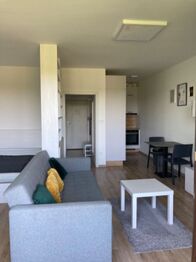 Pronájem bytu 1+kk v osobním vlastnictví 42 m², České Budějovice