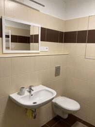 Pronájem bytu 1+kk v osobním vlastnictví 42 m², České Budějovice