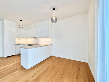 Pronájem bytu 3+kk v osobním vlastnictví 106 m², Praha 8 - Libeň