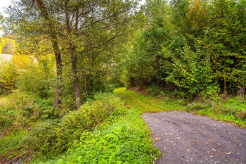 Příjezdová cesta - Prodej pozemku 4931 m², Všemyslice