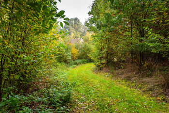 Příjezdová cesta - Prodej pozemku 4931 m², Všemyslice