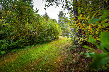 Příjezdová cesta - Prodej pozemku 4931 m², Všemyslice