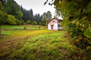 Prodej pozemku 4931 m², Všemyslice