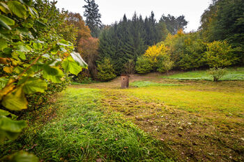 Prodej pozemku 4931 m², Všemyslice