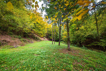 Lesní pozemek - Prodej pozemku 4931 m², Všemyslice
