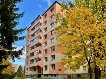 Prodej bytu 1+kk v družstevním vlastnictví 29 m², Jihlava