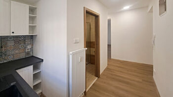 Pronájem bytu 1+1 v osobním vlastnictví 33 m², České Budějovice