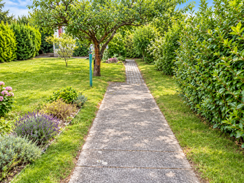 Prodej pozemku 364 m², Jenišov