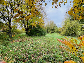 Prodej domu 68 m², Kladruby nad Labem