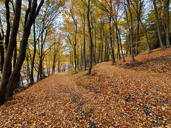 Prodej chaty / chalupy 38 m², Bystřička