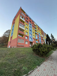 Prodej bytu 3+1 v osobním vlastnictví 81 m², Bílina
