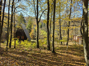 Prodej chaty / chalupy 40 m², Hlubočky
