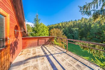 výhled z terasy  - Prodej chaty / chalupy 70 m², Družec 