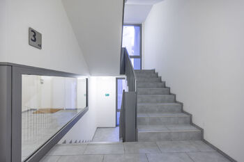 Společná chodba - Prodej bytu 3+kk v osobním vlastnictví 99 m², Praha 3 - Žižkov