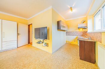 Prodej bytu 1+kk v družstevním vlastnictví 33 m², Jesenice